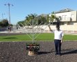 בית חבד